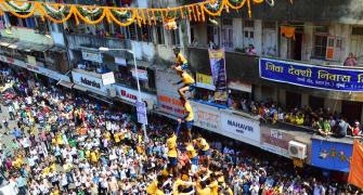 Dahi Handi height can't exceed 20 feet, SC rejects appeal