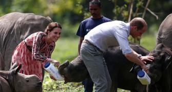 PHOTOS: Royals in the jungle: Will and Kate@Kaziranga
