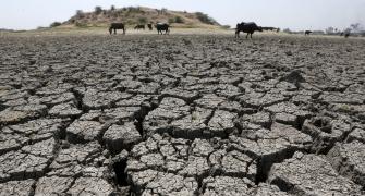 Centre's responsibility to warn states on drought: SC