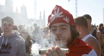 A 'high' holiday: Stoners celebrate National Weed Day