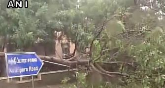 Trees uprooted, flights cancelled: Cyclone Vardah makes landfall