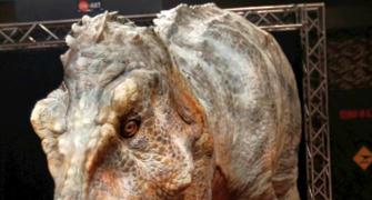 OMG! When 'dinosaurs' attacked Japan!