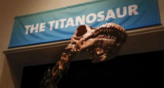 PHOTOS: 122-foot long Titanosaur 'invades' New York