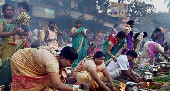 Tamil Nadu celebrates Pongal; Jallikattu ban plays spoilsport