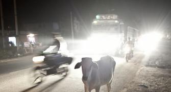 Mob thrashes 2 women in Madhya Pradesh over beef rumour