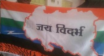 Activists hoist 'Vidarbha flag' in Nagpur to intensify movement to intensify movement