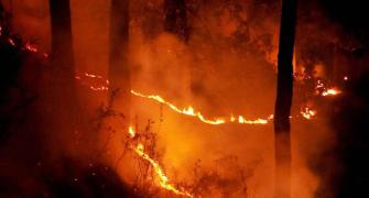 NGT issues notices to Uttarakhand, Himachal over forest fires