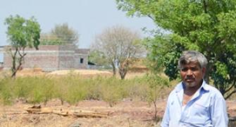 The plight of farmers in drought-affected Beed