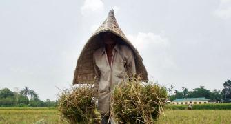 Modi Sarkar's Budget IV will keep focus on countryside