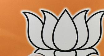 After Maharashtra, BJP sweeps elections to Gujarat local bodies