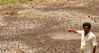 Kerala declared drought-hit: Govt to approach Centre for aid