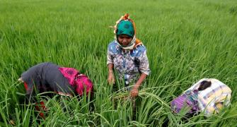 Budget: Bonanza for farmers & agriculture, Rs 10 lakh crore allocated