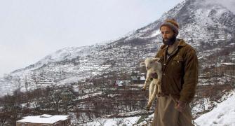 PHOTOS: Heavy snowfall paints Kashmir white