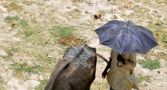 Heat wave in India claimed 700 lives in 2016