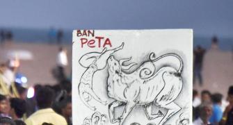 How Jallikattu protests left the State on the backfoot