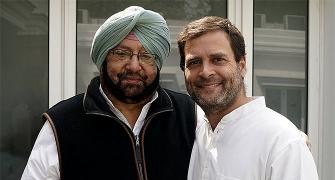 Rahul is ready to take over as Congress prez: Amarinder