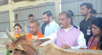 UP CM Yogi visits Aparna Yadav's cow shelter, gives tips on better upkeep