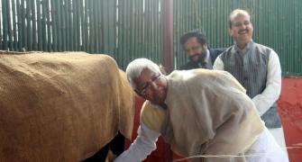 Blow to Lalu, SC orders separate trial in fodder scam case