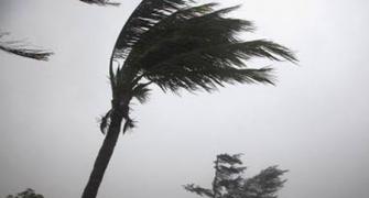WATCH: At 175 kmph, Cyclone Fani makes landfall