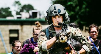 From cat to cow: Animal rescues during Hurricane Harvey
