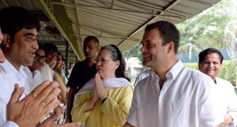 'Rahul as Congress chief will give adrenaline rush to party'