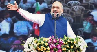 Cats and dogs have united to face Modi flood: Amit Shah on Opposition