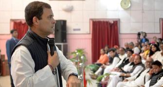I'm not Congress president: Rahul to party MPs
