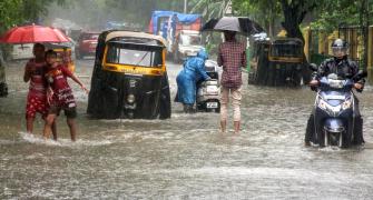 Mumbai sinking, Delhi being buried under garbage, but govt does nothing: SC