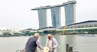 Dendrobrium Narendra Modi: Singapore names orchid after PM