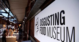 PHOTOS: A food museum for rabbit heads and maggot cheese!