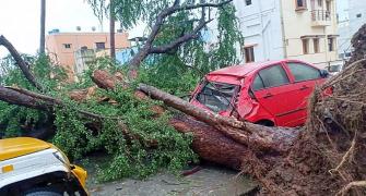 13 dead, over 81,000 evacuated as Cyclone Gaja batters Tamil Nadu