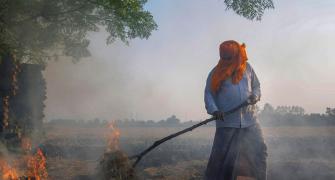 Why Punjab, Haryana farmers are defying ban on stubble burning