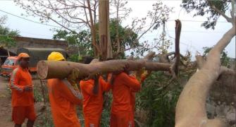 Fani: How states battled biggest cyclone in 20 years