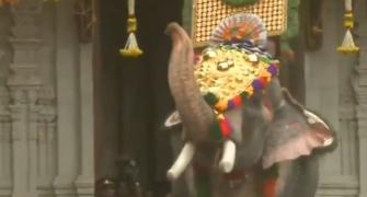 Controversial 54-yr-old tusker opens Thrissur Pooram