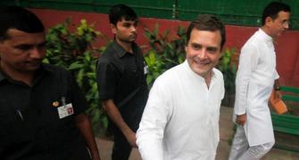 For Rahul, this election was win some, lose lots