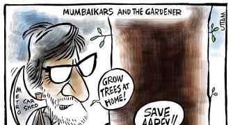 Save Aarey: Mumbaikars and the gardener