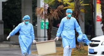 All you need to know about China's deadly coronavirus
