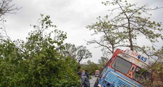 Trees and poles fall as 'Nisarga' makes landfall