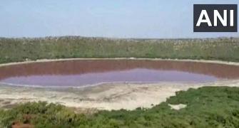 Maharashtra's Lonar lake turns pink; experts surprised