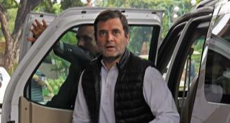 He forgot his ideology: Rahul on Scindia's exit