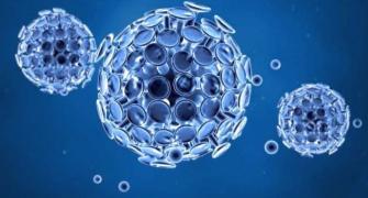 Sunlight, heat and humidity weakens coronavirus: US