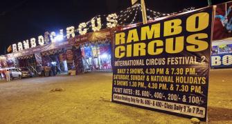 For struggling circuses, Covid-19 comes as final blow