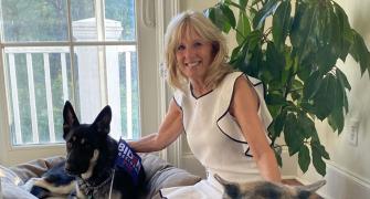 'Paw-licy' advisers: US first dogs -- Champ & Major