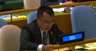 Terrorism Pak's 'only crowning glory': India at UN