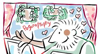 Pogonotrophy & the Joy of being 'Beardiful'