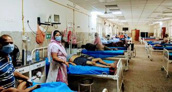 Ghost faculty in majority of medical colleges: NMC