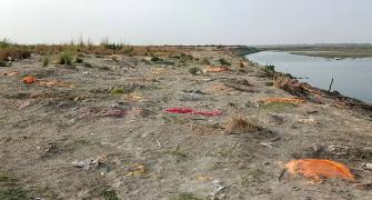 Corpses in Ganga: Cremations after dogs maul bodies