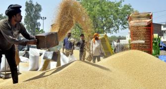Pakistan to allow Indian wheat to Afghanistan: Imran