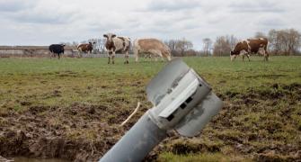 Ukraine: Cows and Rockets!