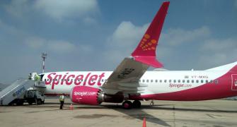 SpiceJet ordered to operate 50% of flights for 8 wks